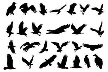 Abstract vector set of eagle silhouette. Stock illustration.