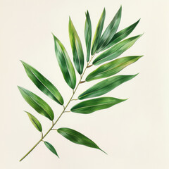 Fototapeta premium A detailed botanical illustration of a green leafy branch, showcasing the natural beauty and intricacy of plant life.