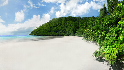 Where the Rainforest meets the Sea