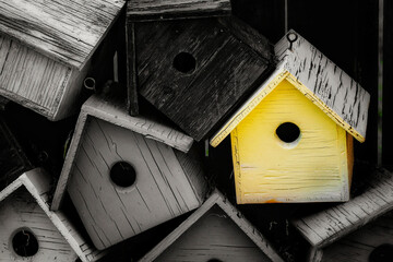 Wooden bird house