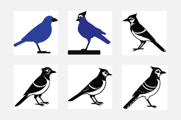 set of birds
