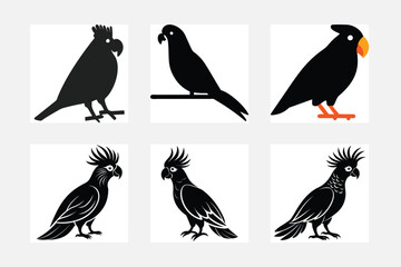 Fototapeta premium set of birds