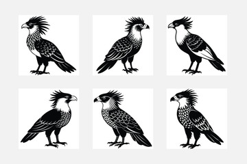 set of silhouettes of Toucan birds