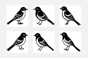 set of birds silhouette 