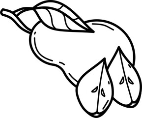 Pear illustration outline vector