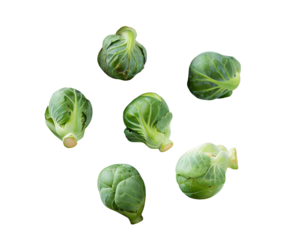 Brussels sprouts isolated on a transparent background PNG.