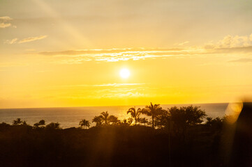 Hawaiian sunset glows over palm silhouettes and ocean horizon
