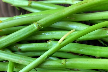 close up of fresh kale vegetables