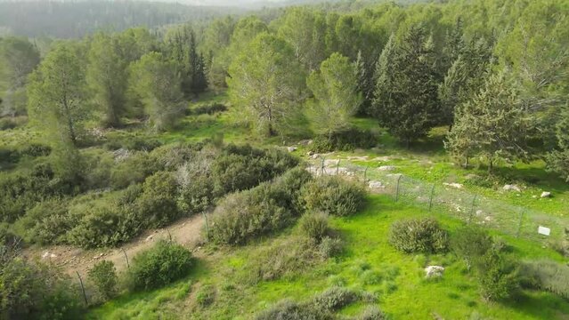 Aerial Panning Shot Of Famous Buddhist Temple , Ben Shemen Forest, Israel