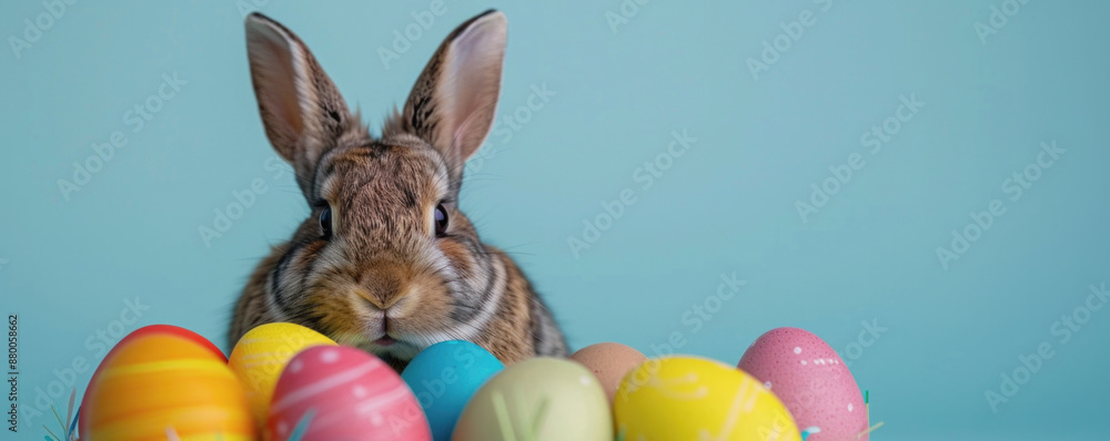 Aufkleber a rabbit is standing in front of a bunch of easter eggs. the rabbit is looking at the camera, and th