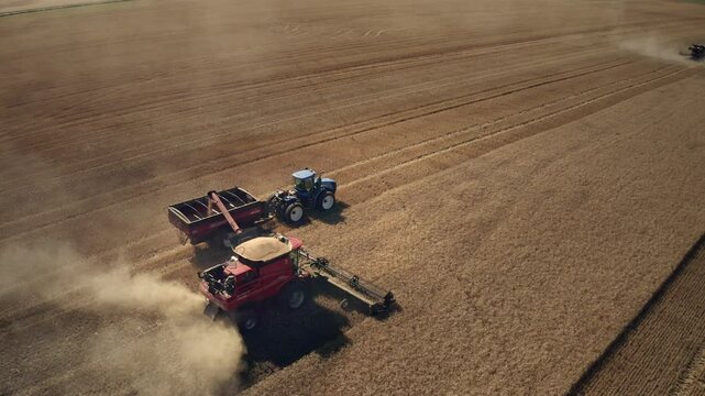A farming combine harvest the wheat in a large agriculture field
