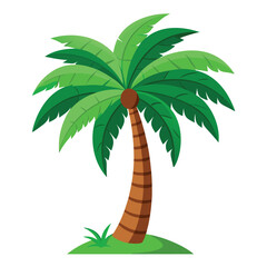palm tree vector illustration and artwork