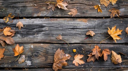 Autumn display of dried leaves on aged wood
