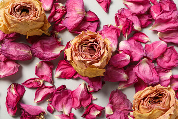 Dried pink petals and rose buds on light background, top view