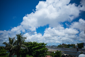 夏の沖縄で青空の見える風景