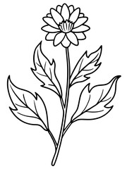 set of black and white flowers vector line art