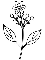 set of black and white flowers vector line art