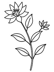 set of black and white flowers vector line art