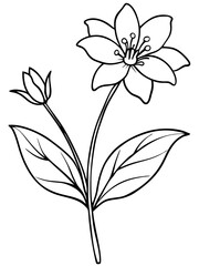 set of black and white flowers vector line art