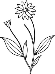set of black and white flowers vector line art