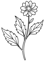 set of black and white flowers vector line art