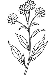 set of black and white flowers vector line art