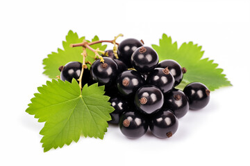 Fototapeta premium Boost for immune system. Black currant isolated on white background. AI generation.