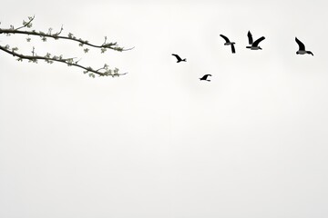 Diverse and Colorful Bird Species in Nature