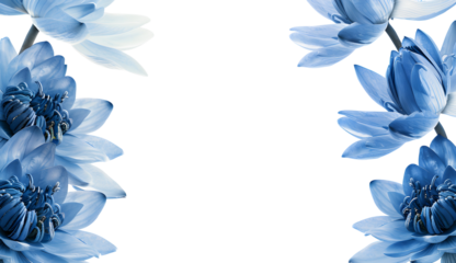 Blue lotus flower frame