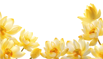 Yellow lotus flower frame