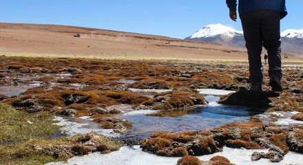 Pés de um homem caminhando às margens de uma laguna no altiplano boliviano