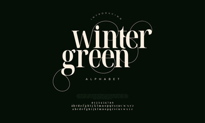 Wintergreen premium luxury elegant alphabet letters and numbers. Vintage wedding typography classic serif font decorative vintage retro. creative vector illustration