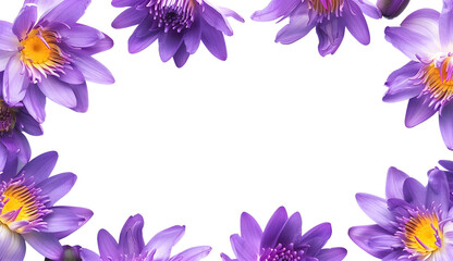 Purple lotus flower frame