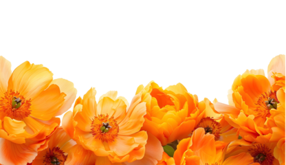 Orange peony flower frame