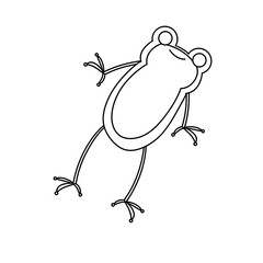 A frog is shown in a white background