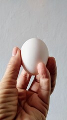 Hand holding an egg 