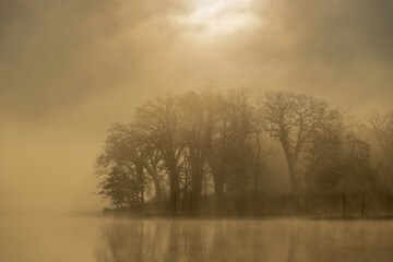 Misty sunrise over the lake. Busse Woods, Elk Grove Village  