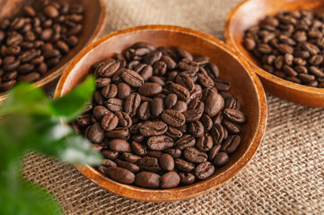 オルギデア　ペルー