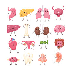 Set of cute cartoon body human internal organ character collection, Cartoon cute organs characters. Happy healthy human organs anatomy, funny kidney, lungs and brain, stomach with faces.