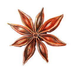 Fototapeta premium Star anise watercolor illustration isolated on transparent. Christmas png file for art work. 
