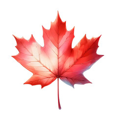 3d red maple leaf