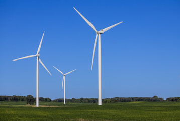 Fototapeta premium Landscape view of gigantic wind turbines in an agricultural field under clear blue sky, with copy space