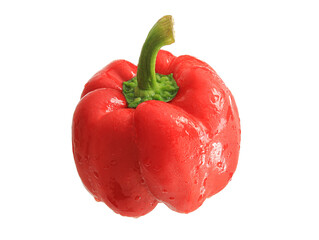 Close-up of a colored pepper on a white background