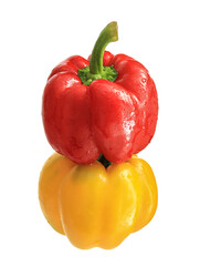 Close-up of a colored pepper on a white background