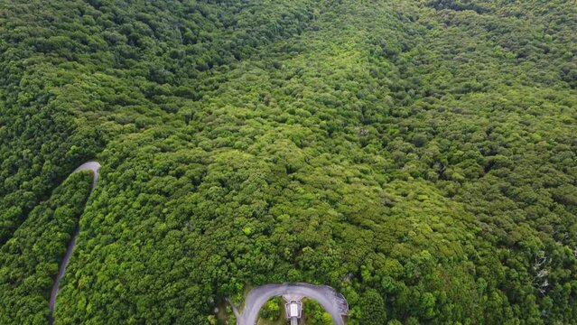 Serene Aerial View of the Lush Green Appalachian Forest near Brasstown Bald, Georgia