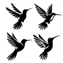 Fototapeta premium Hummingbird Hovering silhouette