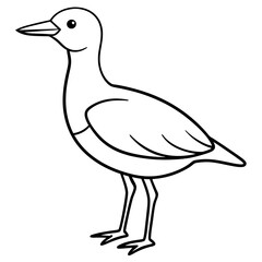 illustration of a bird vector line art