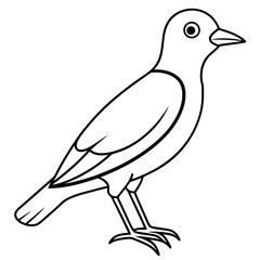 illustration of a bird vector line art
