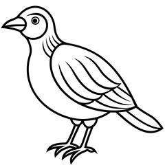 illustration of a bird vector line art