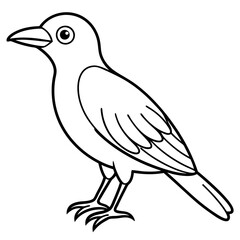 illustration of a bird vector line art